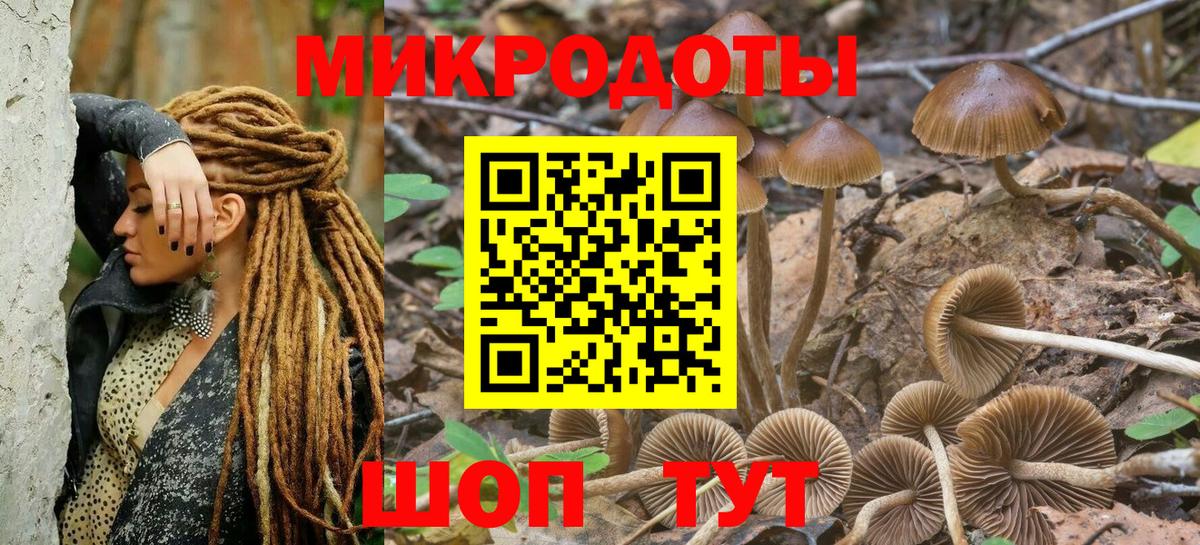 Гагарин  Псилоцибиновые грибы прущие грибы  Вход с VPN 